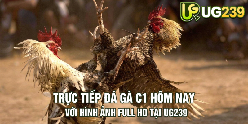 Tin tức