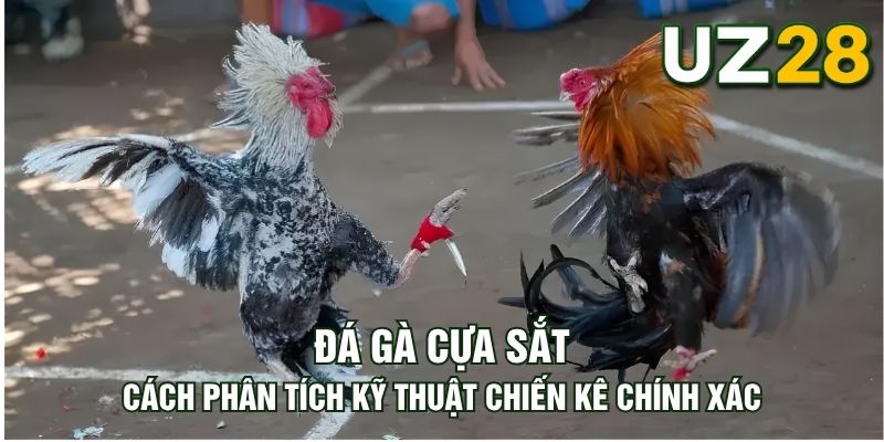 Tin tức