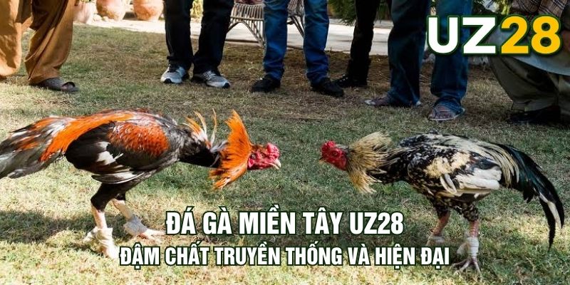Tin tức