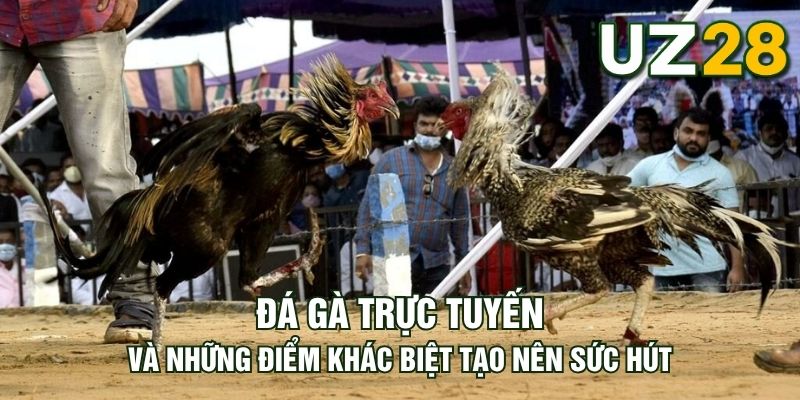 Tin tức