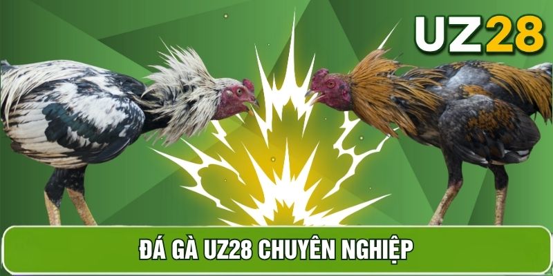 Hình ảnh sản phẩm đá gà