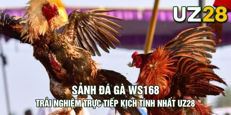 Tin tức