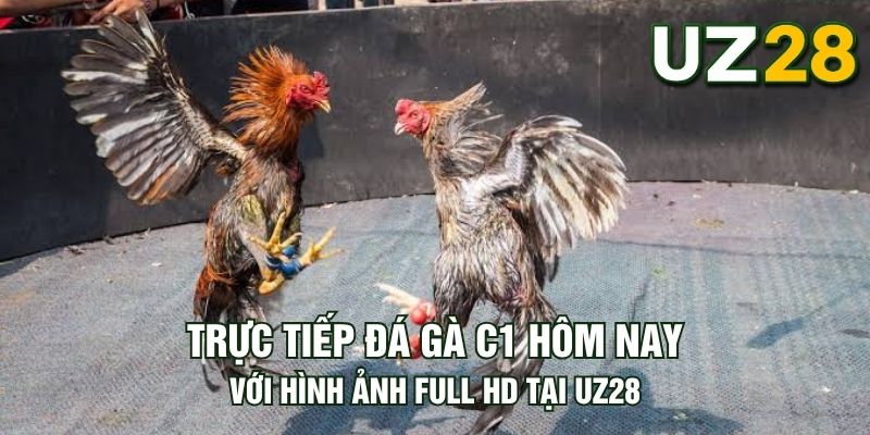 Tin tức
